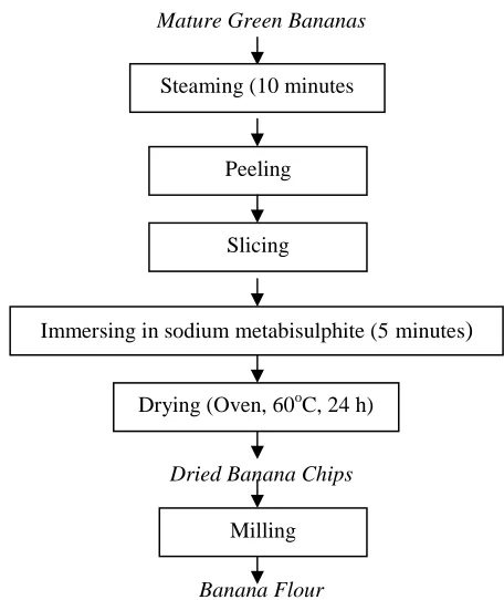 Figure 1. Flow chart of  banana flour processing 
