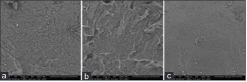 Fig. 1: The appearance of dry beads with varying concentrations of calcium chloride, (a) Formula 1, (b) Formula 2, (c) Formula 3