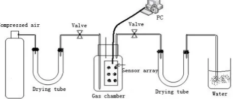 Figure 2.  The structure of experimental system 
