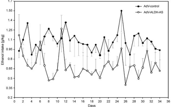 Fig. 1. Protective reaction against alcoholism: mutation of mitochondrial aldehyde dehydrogenase gene using an antisense mechanism.