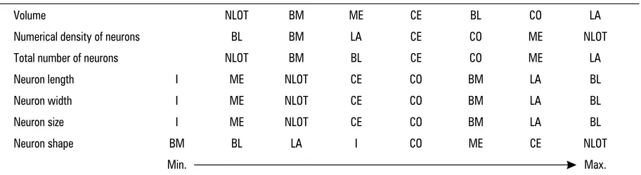 Table 3. The guinea pig CA nuclei series according to the increasing values of the morphometric parameters