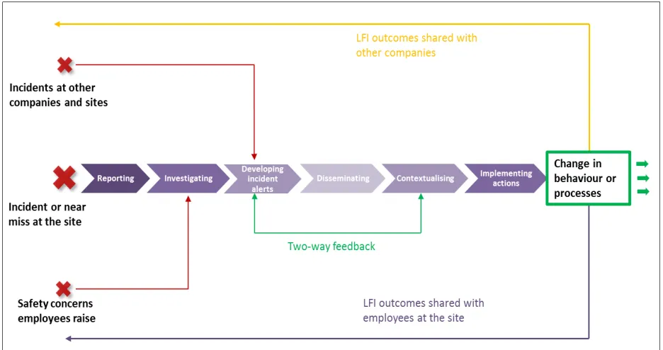 Figure 1. The LFI Process Model (diagram adopted from Littlejohn et al, 2017) 