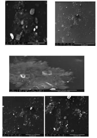 Figure 3.  XRD of PVA thin film SEM image of PVA 