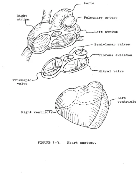 FIGURE 1-3. 
