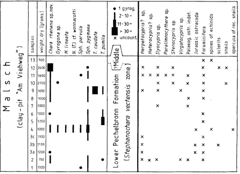 Table 1. Correlation table for the ?Upper Eocene/Lower Oligocene sequences of the Rhine Graben and the Hampshire and Paris Basins on the basis of charophyte and mammalian data