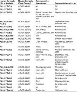 TABLE OF KNOWN HUMAN AND MOUSE CONNEXIN(CX) GENES AND THEIR EXPRESSION