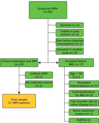 FIG 1. Flow chart describing the inclusion process of patients.