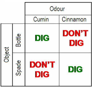 Table 2.2: Parings and mispairings of objects and odours in the object-odour paired 