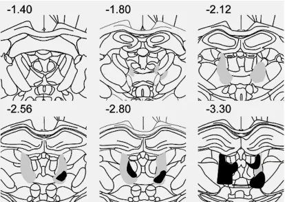 Figure 3.2 Schematic coronal sections through the rat brain showing the locations of the 