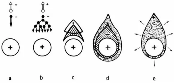 Figure 3.5: Time development of an avalanche in the Straw tube