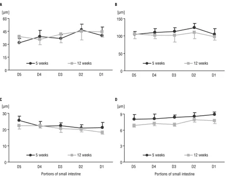 Figure 3. The graphs present the mean values [mm] and standard deviation of the parameters evaluated in particular portions of the smallintestine: the muscular layer (A), the depth of the crypts (B), the height of the enterocyte (C), and the height of enterocyte nucleus (D).