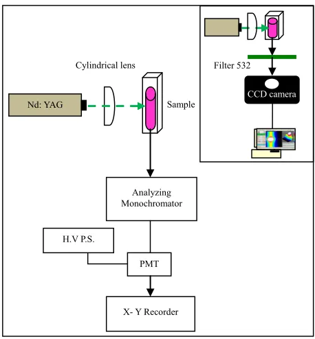 Figure 4. Schematic diagram of the experimental setup. 