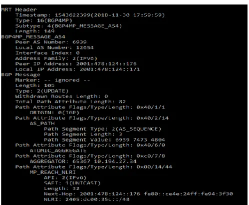 Fig. 4. Parsed MRT Record Example 