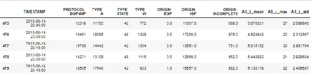 Fig. 7. Grouped by IP Data Output Columns Example 
