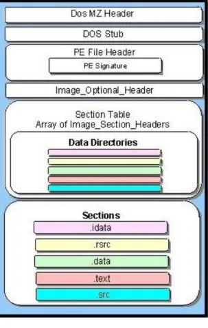 Figure 2.10 PE file stucture [49] 