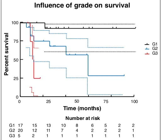 Fig. 4. Influence of N stage on survival.