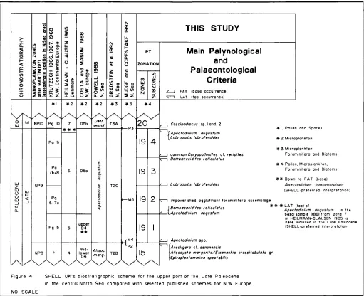 Figure 4 SHELL UK's biostratigraphic scheme for the upper port of the Late Poleocene 