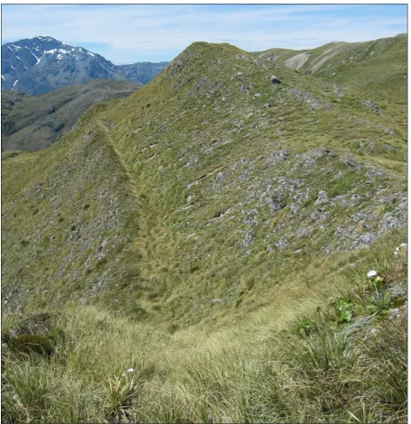 Figure 4.16: An antiscarp at the southern end of Kelly Range related to structure Set 1