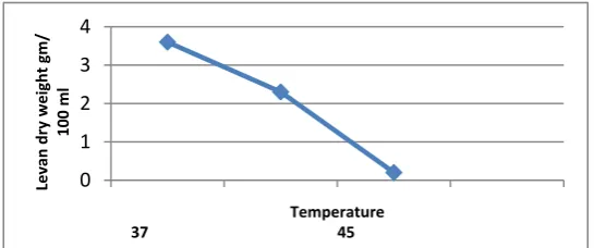 Figure 6: Effect of temperature on levan production from Pseudomonas putida in mineral salts media containing 20% of sucrose and without nitrogen source, incubated at different temperature for 48hrs, the inoculums size 1%
