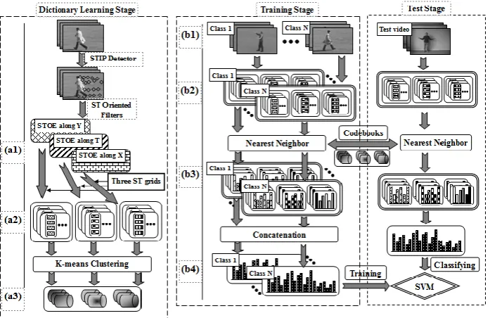 Figure 1. information is converted into local STOE features. (b3) Each action class is modeled by nine local histograms
