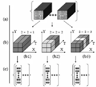 Figure 2. grids with three temporal scales. (b1) ST grid with size 2×2×1. (b2) ST A set of local STOE features is converted into three sets of descriptors using three ST grids