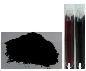 Figure 1: The changing of extract color from pale brown to black color indicated to Synthesized Iron Oxide nanoparticles: a) Powder b) nanoparticle colloidal