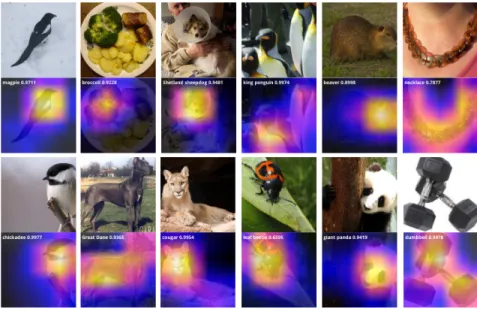 Figure 5.2: Visualizations using fixed identity classifier with the ResNet-50 architecture fine-tuned on ImageNet-1K