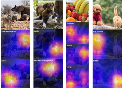 Figure 5.3: Feature map visualizations for images contain multiple categories from ImageNet-1K.
