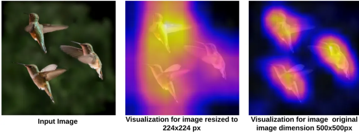 Figure 5.4: CNN visualization for original image size (500px × 500px) and resized (224px
