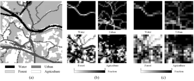 Figure 2. Dataset used in the experiment. (a) is the reference fine resolution land cover  map  with  four  classes  (120  pixels  ×  120  pixels); (b)  coarse  resolution  fraction  images  simulated  for  the  fine  resolution  land  cover  map  in  (a) 