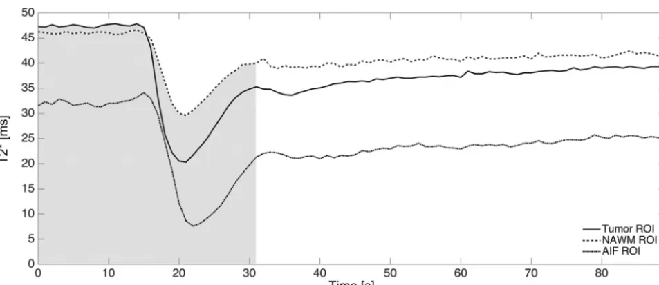 FIG 1. An example from 1 patient of the absolute T2* time curves for tumor (solid), NAWM (dash dash), and the AIF (dash dot) ROIs