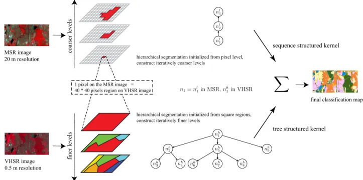 Figure 1. Illustration of the hierarchical image representation for one data instance n 1 to be classified