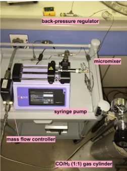 Figure 1. Flow system used for hydroformylation. 