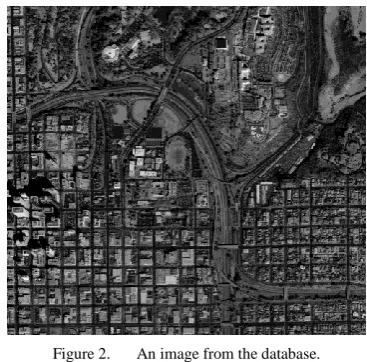 Figure 2. An image from the database. 