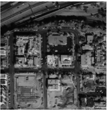 Figure 7. The result of the test image in Fig. 6 