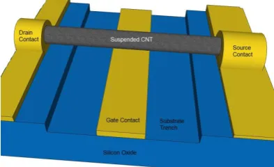 Figure 2. CNT (Carbon-nanotube) types 
