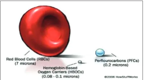 Fig. 1: The shape and size of blood substitutes (Jani et al., 2012)