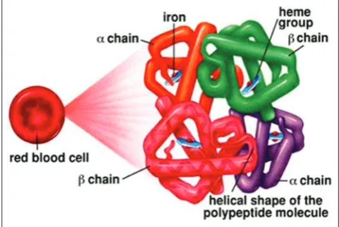Fig. 2: The structure of perfluorocarbon (Mohan Krishna et al.,2011)