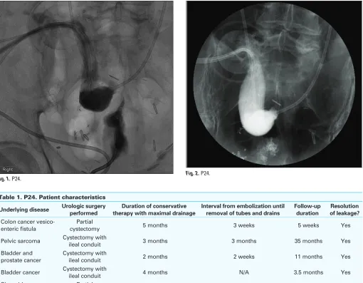 Fig. 1. P24. 