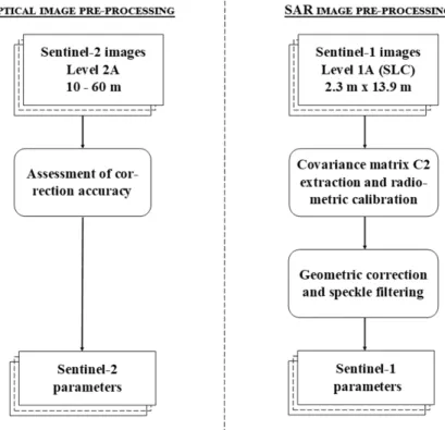 Figure  3.  Pre-processing  workflow  for  Sentinel-1  Synthetic-Aperture  Radar  (SAR)  and  Sentinel-2  optical images