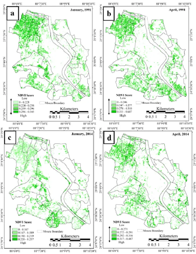 Fig. 15. NDVI classes of (a) January 1991; (b) April 1991; (c) January 2014; (d) April, 2014.