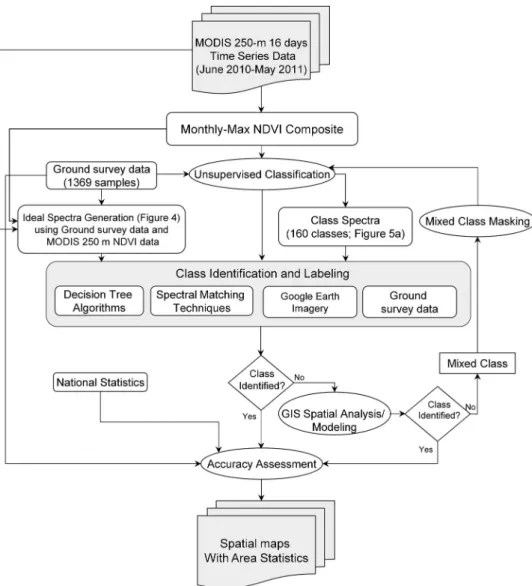 Figure 2. Overview ﬂowchart of methodology. Flow diagram of methodology for mapping rice-fallow using the every 16-day MODIS 250 m time-series data, ground data, Google Earth data, spectral matching techniques, and decision trees.