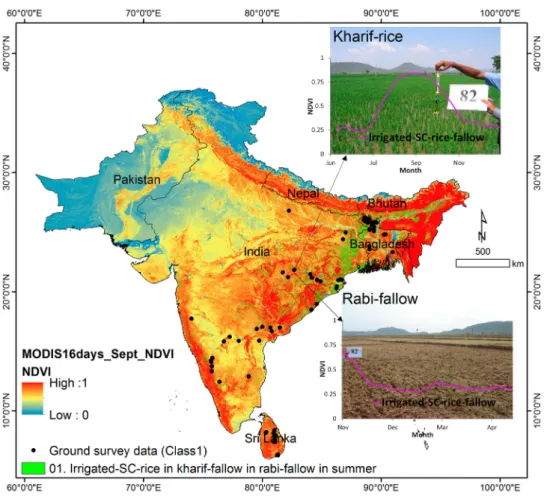 Figure 3. Rice-fallow illustration. Rice-fallow are croplands where rice crop is grown during the kharif season (upper photo) and left fallow during the rabi season (lower photo)