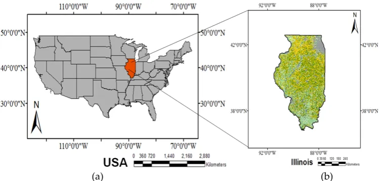 Figure 1. Map of the US showing the location of Illinois (a) and crop cover data for Illinois in 2013 (b) (Corn is indicated by yellow)