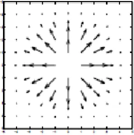 Figure 7 shows the enhanced FP image with core point localization. 