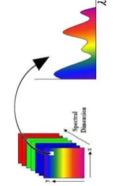 Figure 1. HSI cub spectrum analyse  