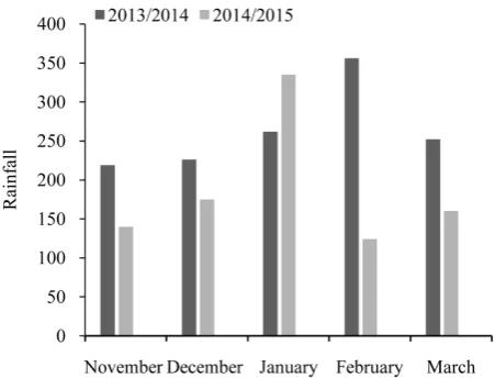 Figure 1. Rainfall, at the experimental area, in the 2013/14 and 2014/15 growing seasons
