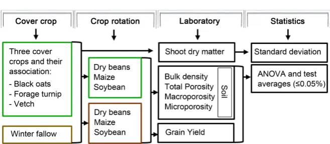 Figure 2. Methodology flow diagram showing the cover crops (no-tillage—green) and winter fallow (tillage—brown), crop rotation, laboratory analysis and statistics details