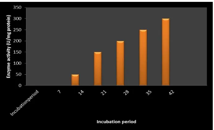 Figure 4: Effect of incubation period on laccase activity 