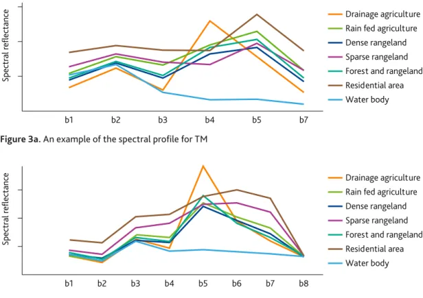 Figure 3a. An example of the spectral profile for TM